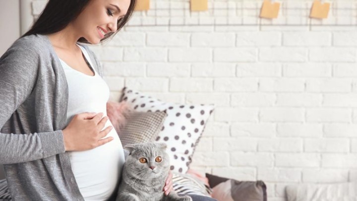 توکسوپلازموز در بارداری می‌تواند خطرناک باشد