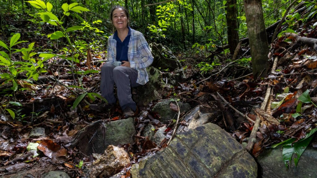 کشف یک جنگل گمشده 23 میلیون ساله در پاناما! + عکس