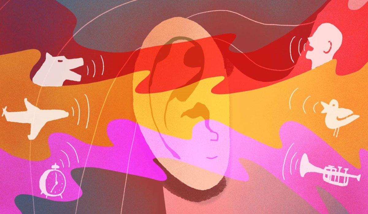 زیان های دنیای تازه برای مغز 6 مغز ما و دنیای امروزی