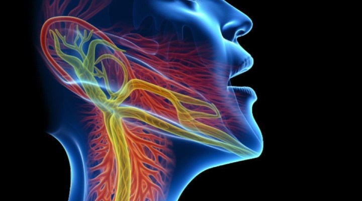 مشکل بلع غذا؛ از علت تا درمان 6 تشخیص مشکل بلع