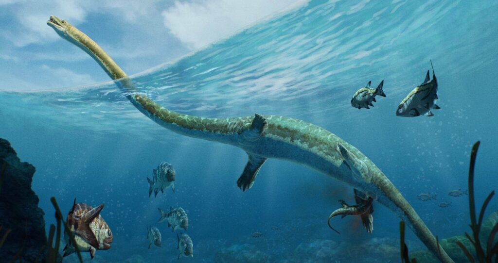 1708884344 728 فسیل خزنده‌ای همانند به اژدها با قدمت 240 میلیون سال