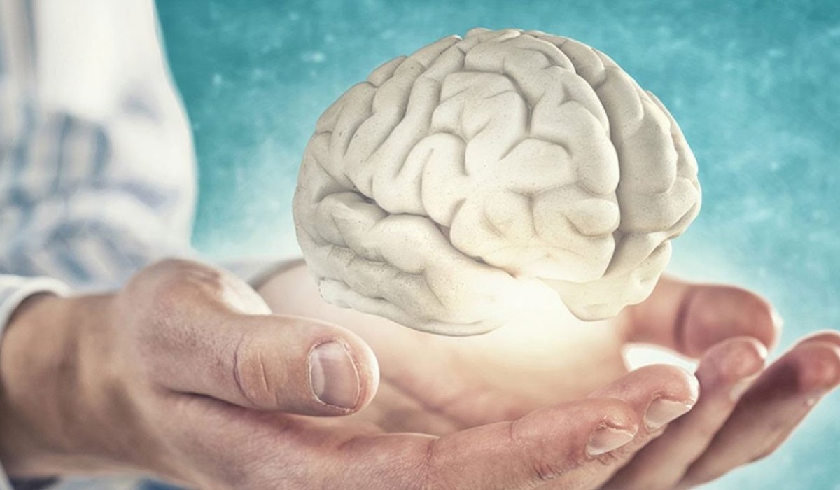 چرا دنیای جدید برای مغزمان بد است؟