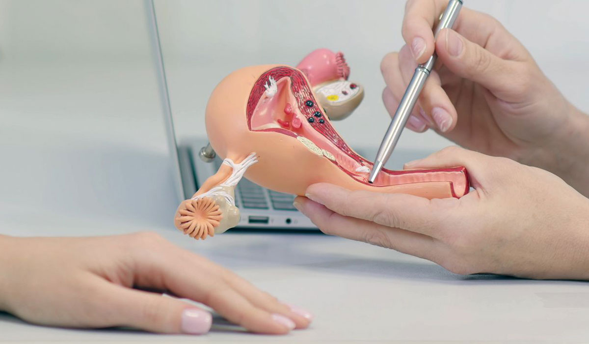 فعالیت دکتر زنان