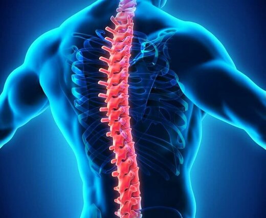 درمان دقیق در کمردرد مزمن با فناوری جدید ارائه تصاویر HD از نخاع