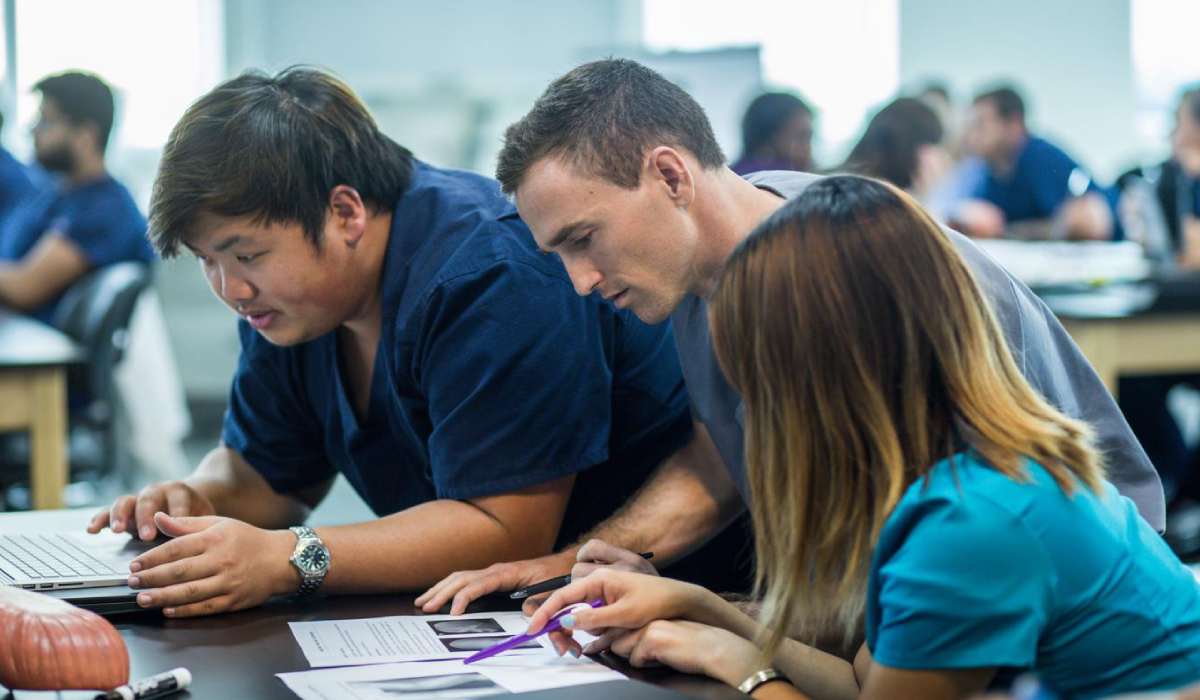 تخصص پزشکی اجتماعی چیست و دکتر پزشکی اجتماعی کیست؟_رنگو 23 توانمندسازی و مشارکت جامعه