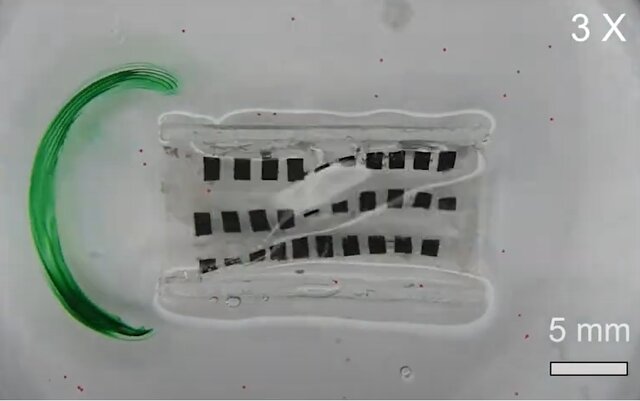 رباتی برای کمک به ماهیچه‌های مری در بلع غذا