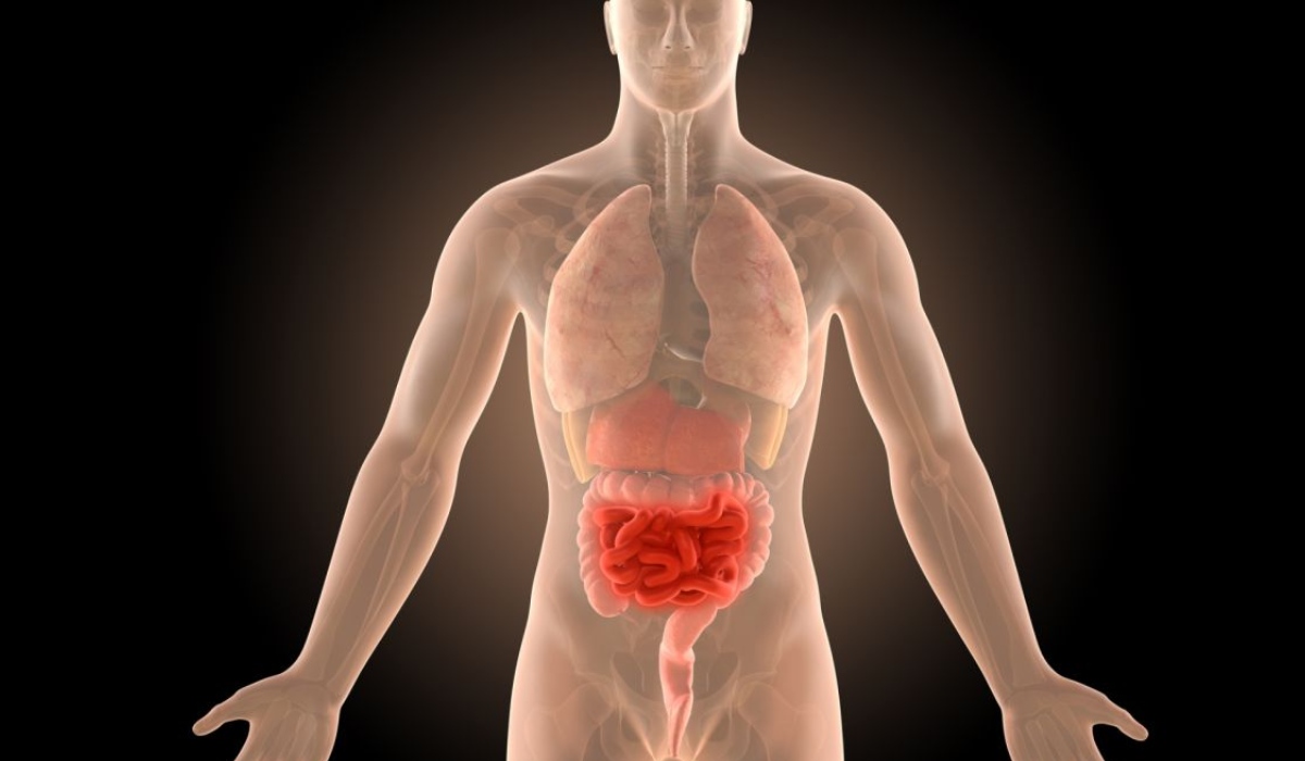 برای عفونت روده چه بخوریم