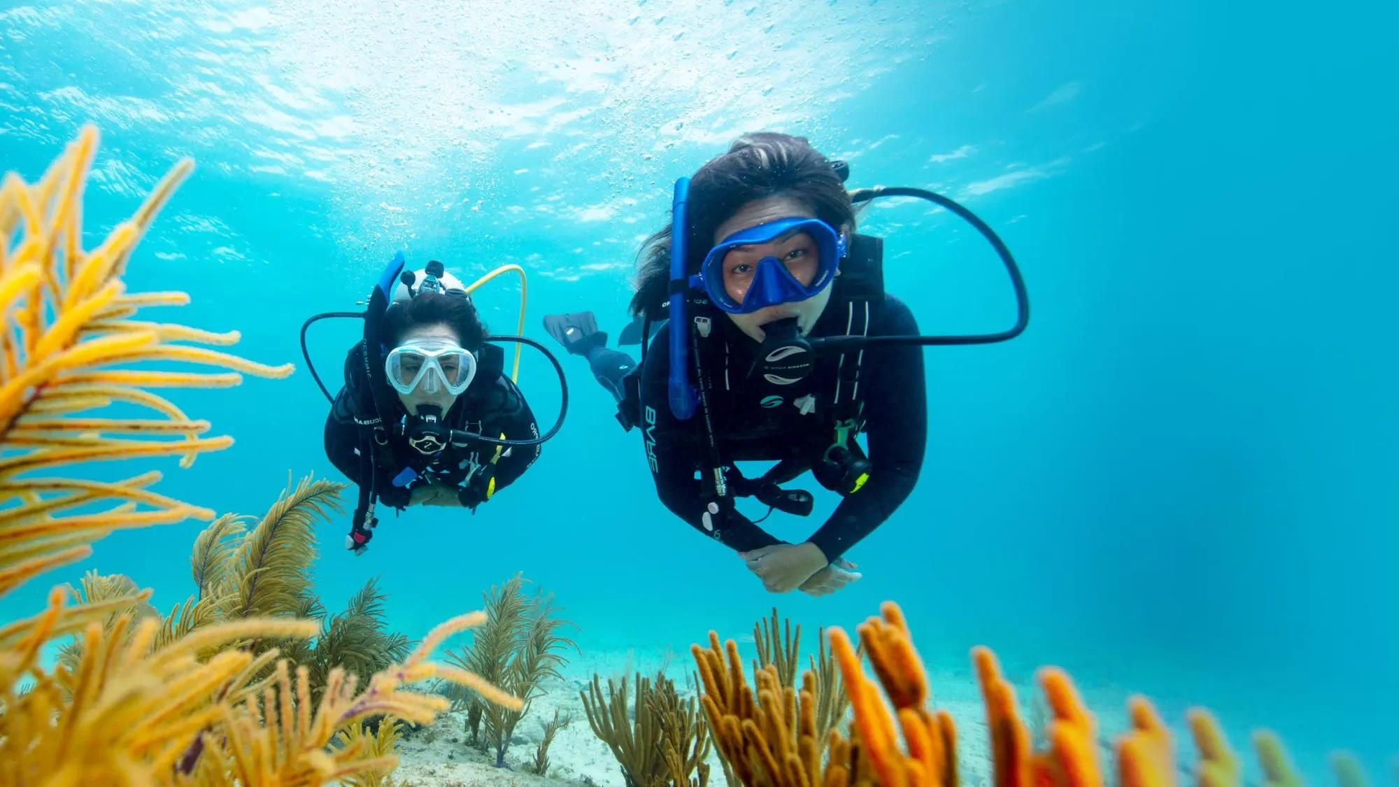 1724426849 747 ۲۰ بازی تابستانی آبی، جنگی و شگفت برای همه سنین رنگو.webp