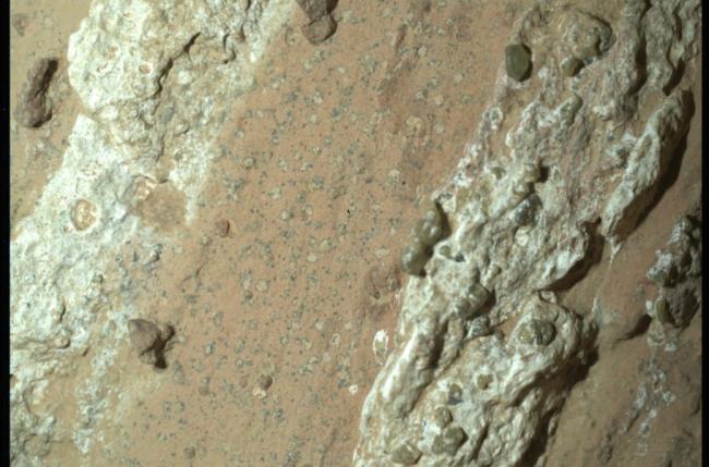 دانشمندان می‌گویند احتمالاً نقاط پلنگی روی صخره‌های مریخ پیش از این توسط حیات مریخی ایجاد شده‌اند