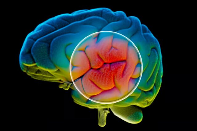 هوش مصنوعی می‌تواند در تشخیص پارکینسون مورد استفاده قرار بگیرد