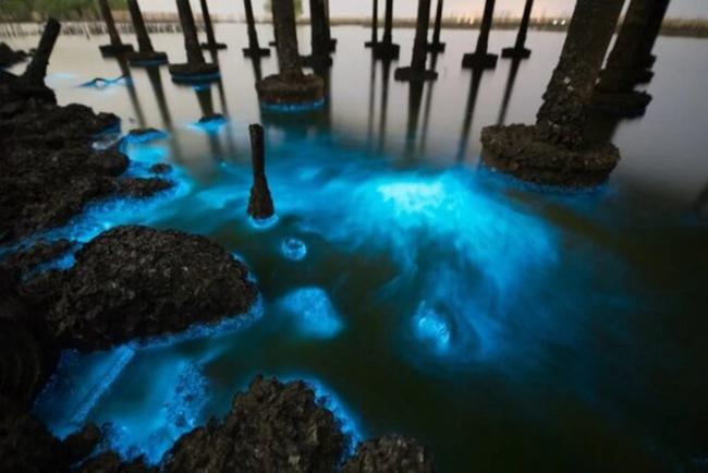 ایده جدید دانشمندان برای تزریق آهن و افزایش جذب کربن