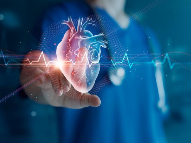 ساخت شبیه‌ساز پیشرفته قلب با قابلیت تقلید دقیق عملکرد و حرکات قلب انسان 