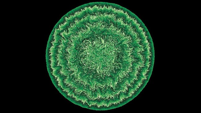 کشف الگوی رشد سلولی در محیط شلوغ