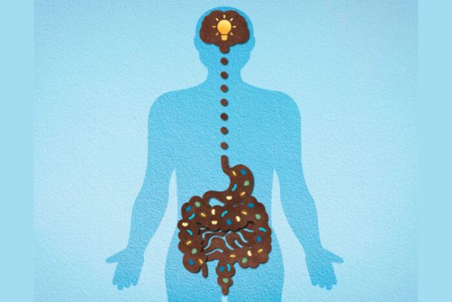 ارتباط شگفت‌انگیز بین باکتری‌های روده و بیماری آلزایمر