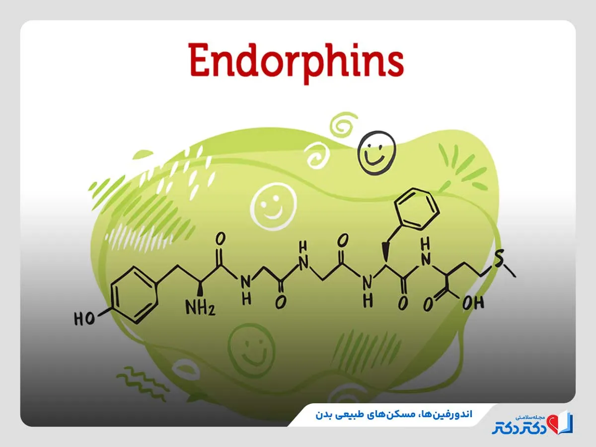 معارفه 4 نوع گوناگون هورمون نشاط + ۱۱ روش ساده برای افزایش آنها_رنگو 28 بررسی وظایف اندورفینها در جسم و روان انسان