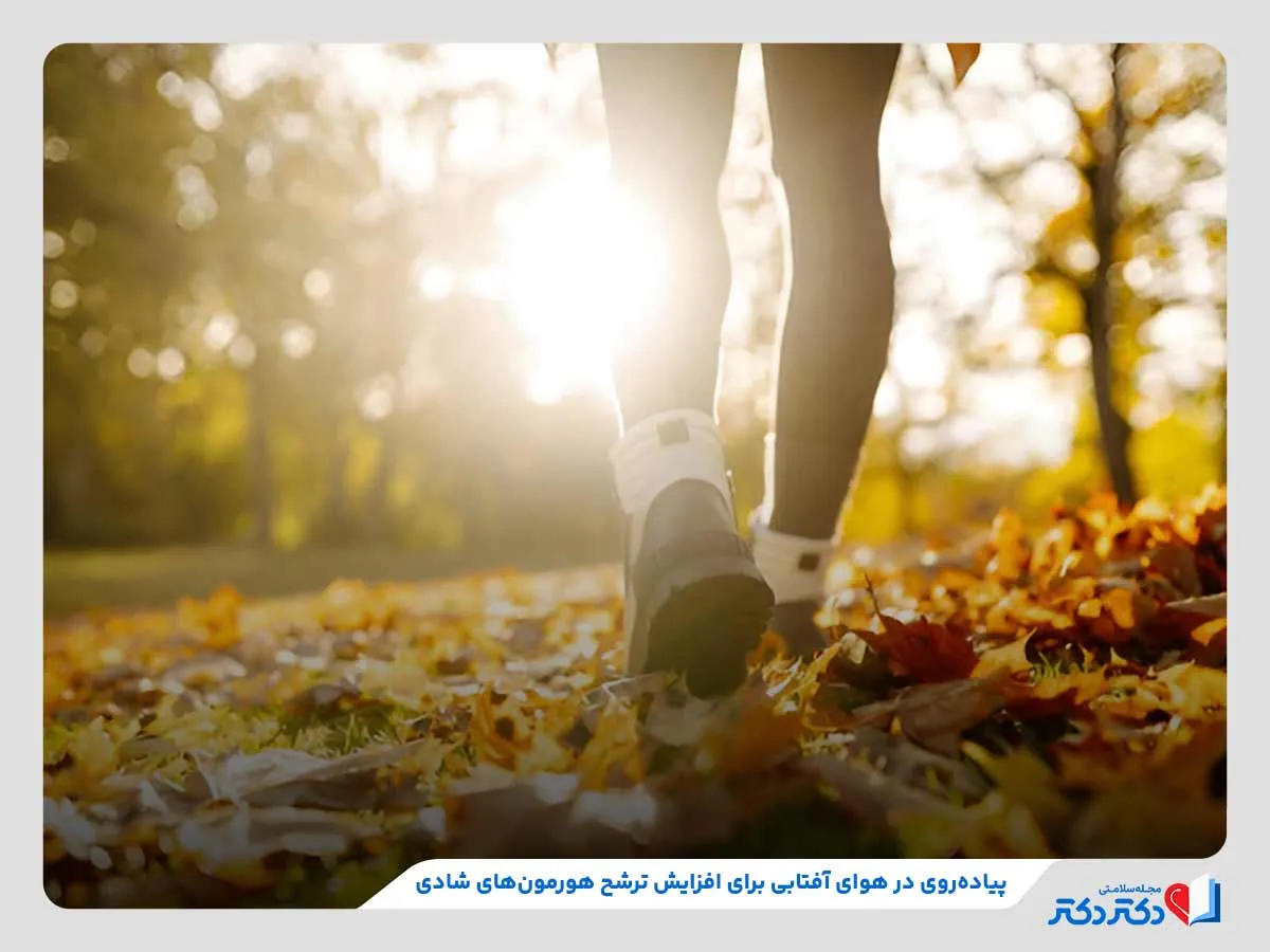 معارفه 4 نوع گوناگون هورمون نشاط + ۱۱ روش ساده برای افزایش آنها_رنگو 30 پیاده روی به منظور افزایش ترشح هورمونهای شادی