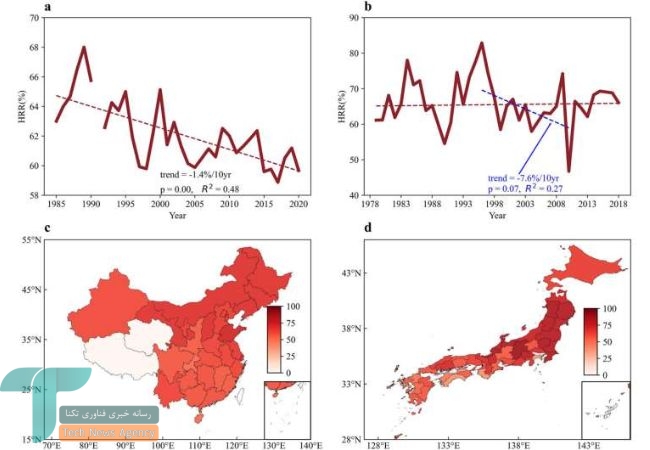 بحران آب و هوا برنج را گران‌تر و کم‌کیفیت‌تر می‌کند