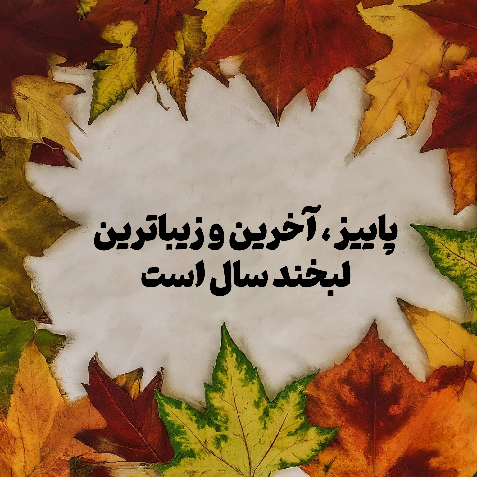 جملات قشنگ درمورد پاییز از بزرگان و مشاهیر رنگو.webp