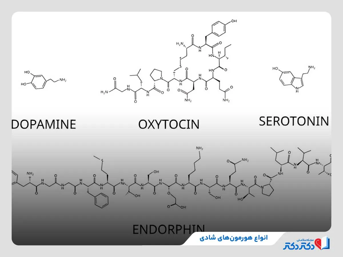معارفه 4 نوع گوناگون هورمون نشاط + ۱۱ روش ساده برای افزایش آنها_رنگو 24 بررسی انواع هورمونهای شادی