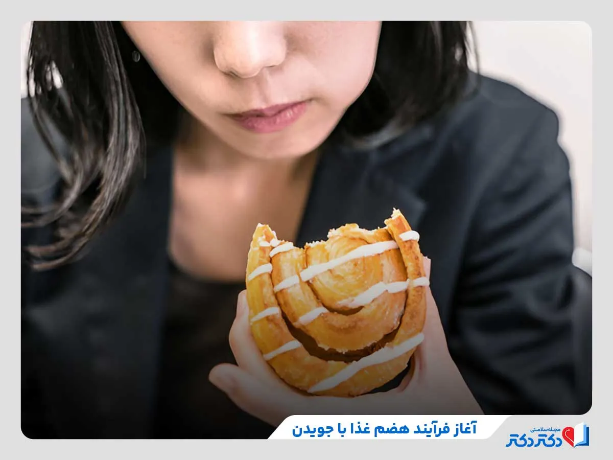هضم غذا چطور صورت میگیرد؟ نکات طلایی برای هضم بهتر_رنگو 2 آغاز روند هضم مواد غذایی با جویدن
