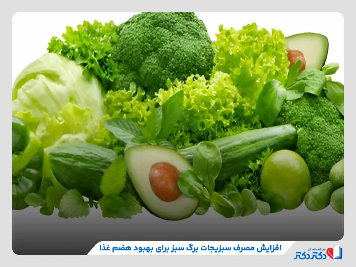 هضم غذا چطور صورت میگیرد؟ نکات طلایی برای هضم بهتر_رنگو 12 سبزیجات برگ سبز، از موثرترین منابع غذایی برای بهبود هضم غذا