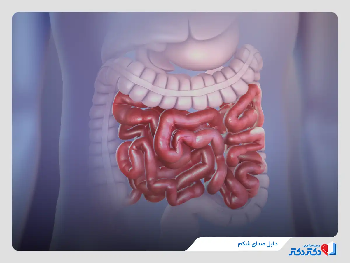 علت صدای شکم چیست؟ غرغر شکم چطور تشکیل میبشود؟_رنگو 4 حرکات روده دلیل صدای شکم