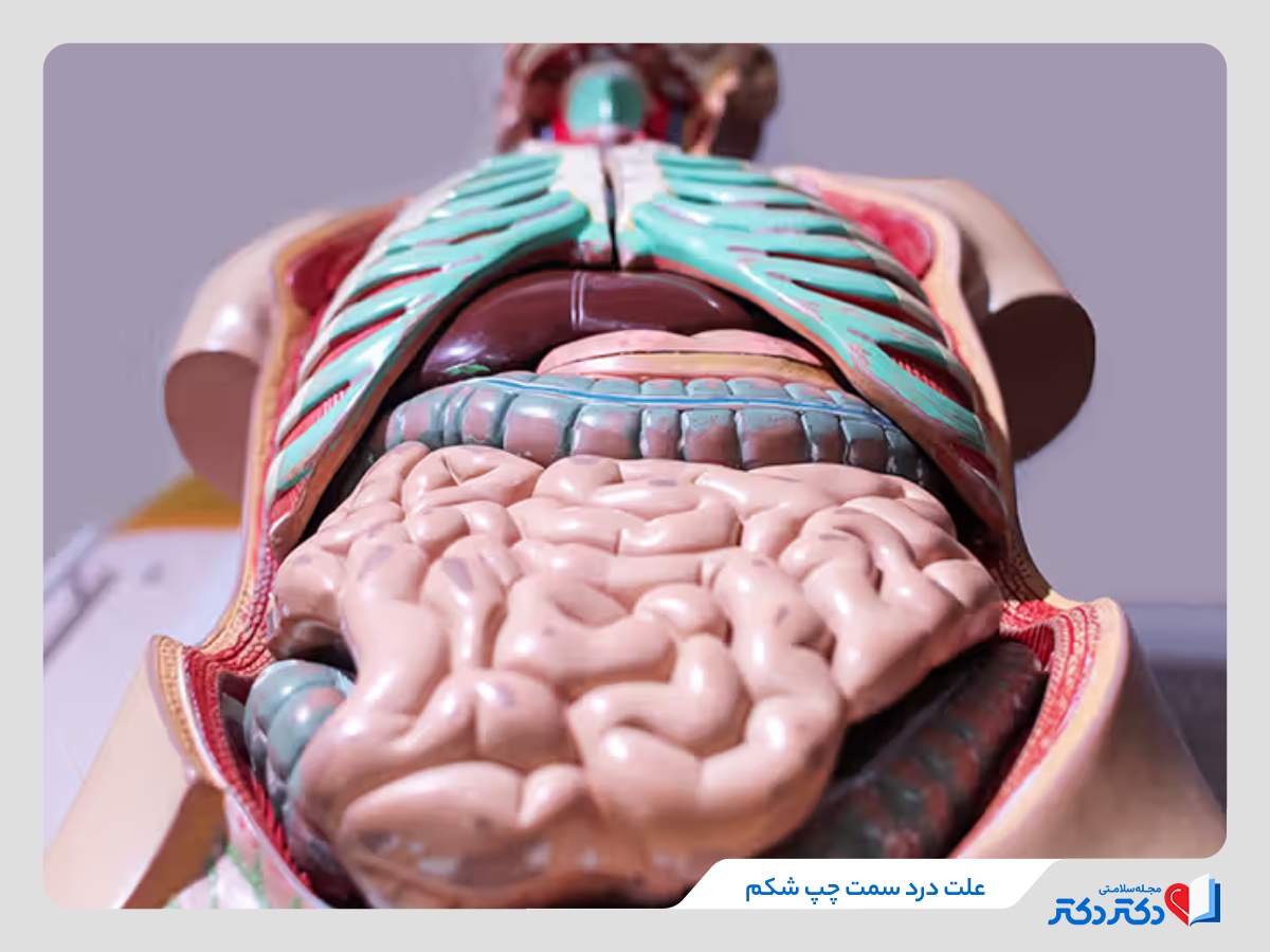 تمامی دلایل درد شکم سمت چپ