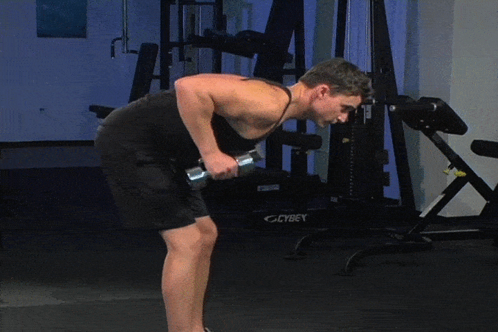 ورزش با دمبل؛ ۲۷ تمرین با دمبل برای تحکیم عضلات_رنگو 72 ورزش با دمبل - کیک بک عضله سه سر بازویی