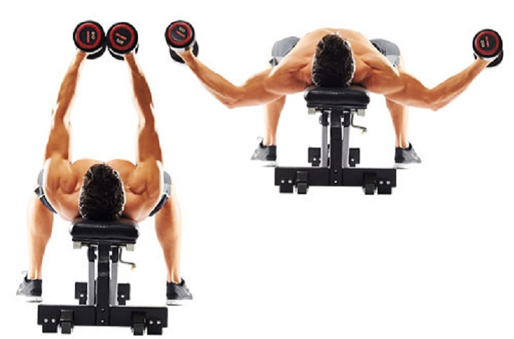 ورزش با دمبل؛ ۲۷ تمرین با دمبل برای تحکیم عضلات_رنگو 74 ورزش با دمبل - دمبل فلای خوابیده