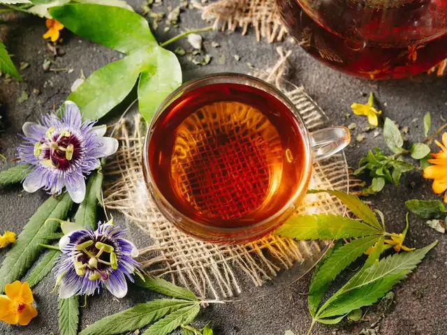 دمنوش های سودمند: ۱۲ دمنوش گیاهی سودمند که باید امتحان کنید!_رنگو 36 1742367322 270 دمنوش های سودمند ۱۲ دمنوش گیاهی سودمند که باید امتحان.webp