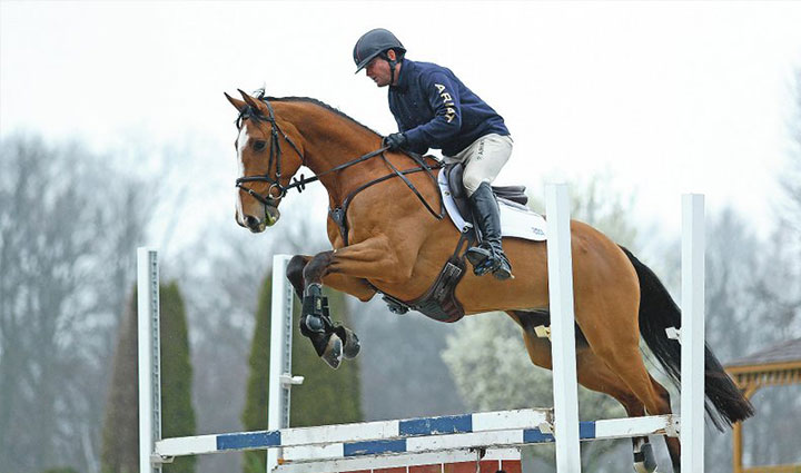 گران ترین ورزش های جهان؛ ۱۱ ورزش لاکچری و پرهزینه اما جذاب_رنگو 24 اسب سواری - گران ترین ورزش های جهان