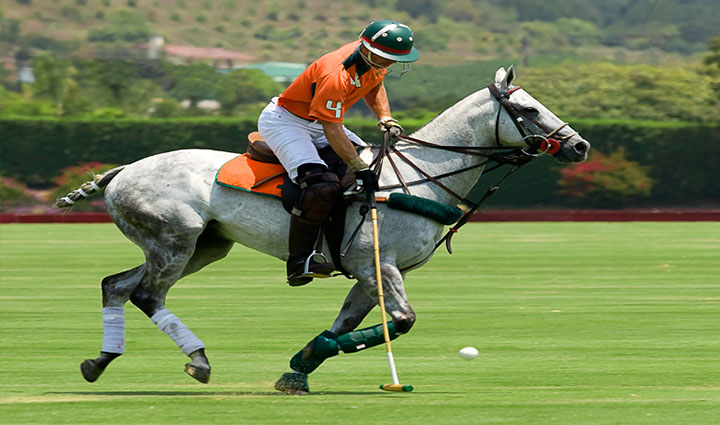 گران ترین ورزش های جهان؛ ۱۱ ورزش لاکچری و پرهزینه اما جذاب_رنگو 28 چوگان - گران ترین ورزش های جهان
