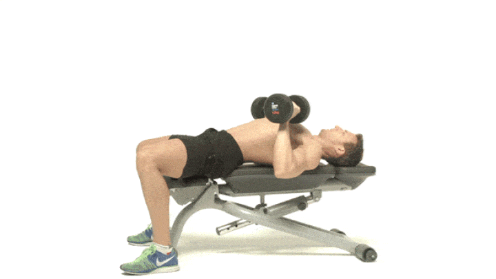 ورزش با دمبل؛ ۲۷ تمرین با دمبل برای تحکیم عضلات_رنگو 63 ورزش با دمبل - پرس نیمکت