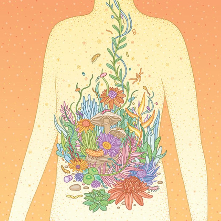 میکروب های مفید - چگونه باهوش شویم