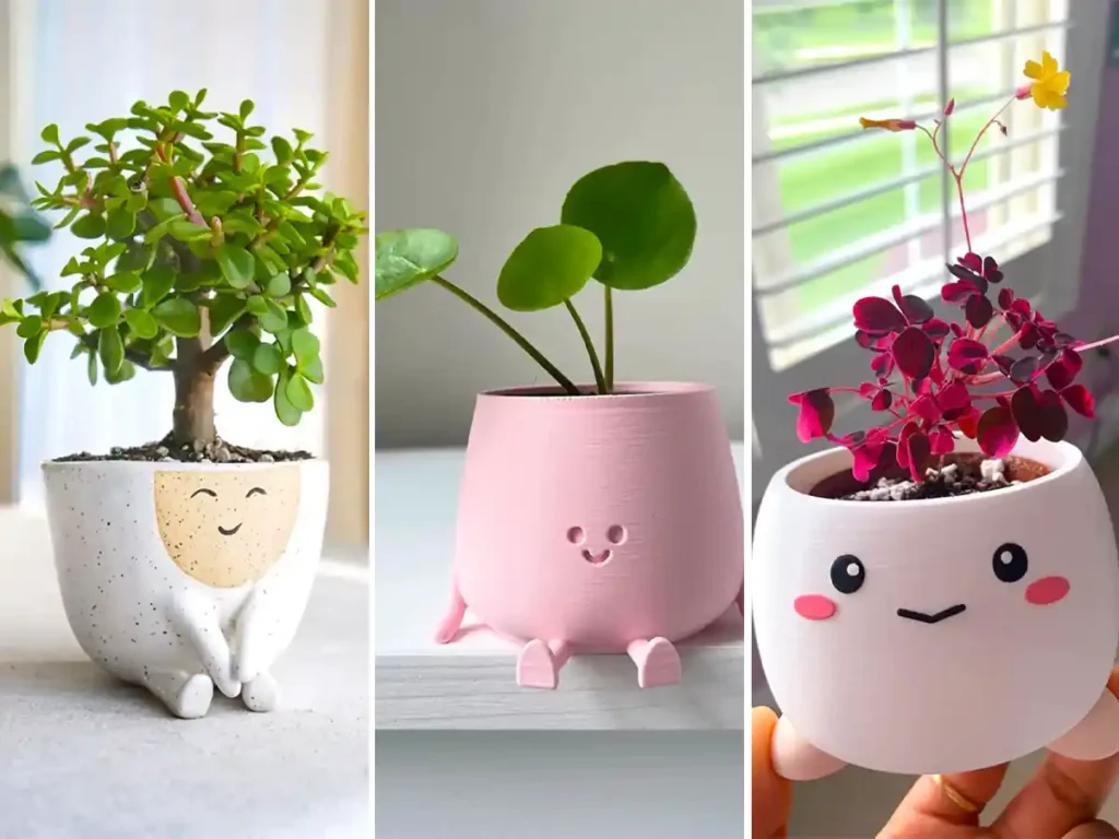 ۱۰ هدیه اقتصادی ولی خاص برای روز دختر_رنگو 24 1745782382 856 ۱۰ هدیه اقتصادی ولی خاص برای روز دختر رنگو.webp