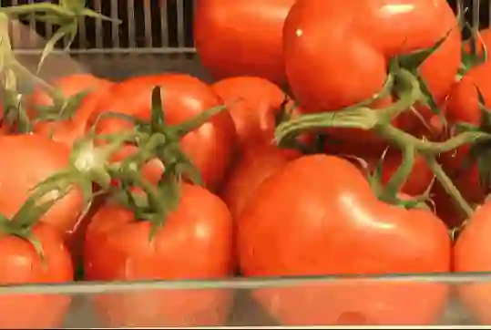 1747057858 628 هوش مصنوعی ویدیوساز تازه گوگل در تلفنهای آنر 400 اراعه.webp