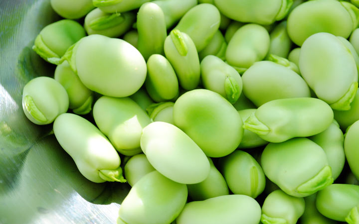 خواص باقلا و خواص باقلا پخته؛ ۶ خاصیت درمانی یکی از غنیترین منبع های فیبر_رنگو 20 فواید باقلا