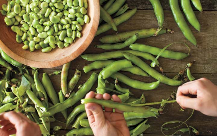 خواص باقلا و خواص باقلا پخته؛ ۶ خاصیت درمانی یکی از غنیترین منبع های فیبر_رنگو 24 خواص باقلا - آماده کردن باقلا