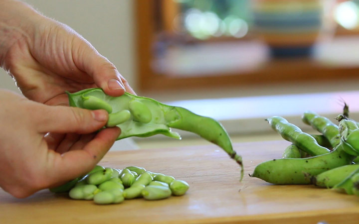 خواص باقلا و خواص باقلا پخته؛ ۶ خاصیت درمانی یکی از غنیترین منبع های فیبر_رنگو 21 خواص باقلا -فواید باقلا