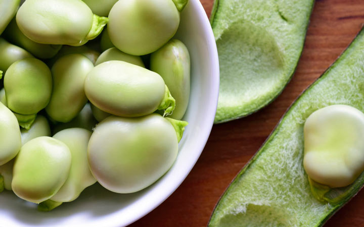 خواص باقلا و خواص باقلا پخته؛ ۶ خاصیت درمانی یکی از غنیترین منبع های فیبر_رنگو 22 خواص باقلا - حقایقی در مورد باقلا