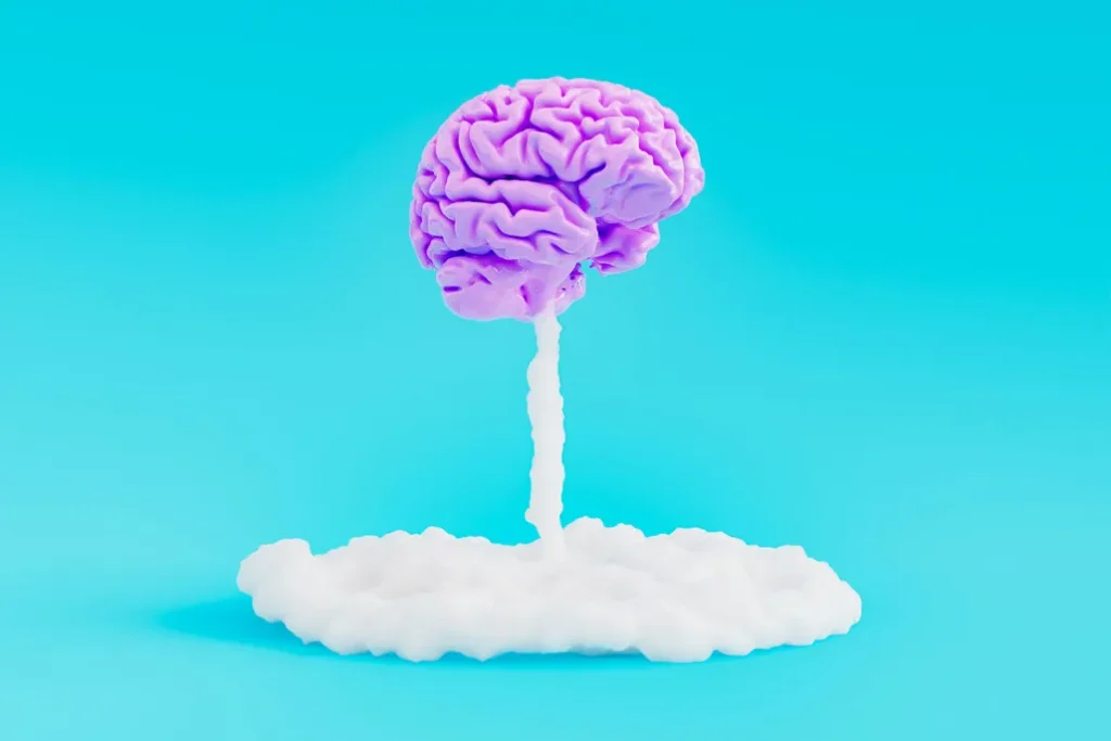 1747915504 319 انواع تیپ مغزی و تأثیر آن بر شخصیت ‌ تیپ.webp