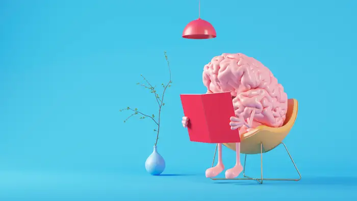 1747915505 292 انواع تیپ مغزی و تأثیر آن بر شخصیت ‌ تیپ.webp