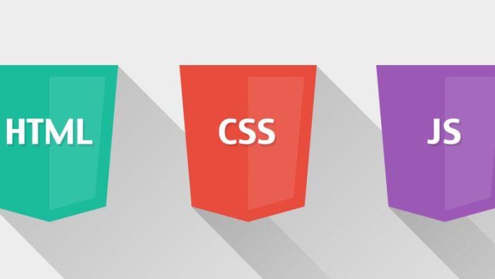 بهترین زبان برنامه نویسی برای طراحی سایت: راهنمای جامع انتخاب_رنگو 10 زبان برنامه نویسی مناسب برای طراحی سایت