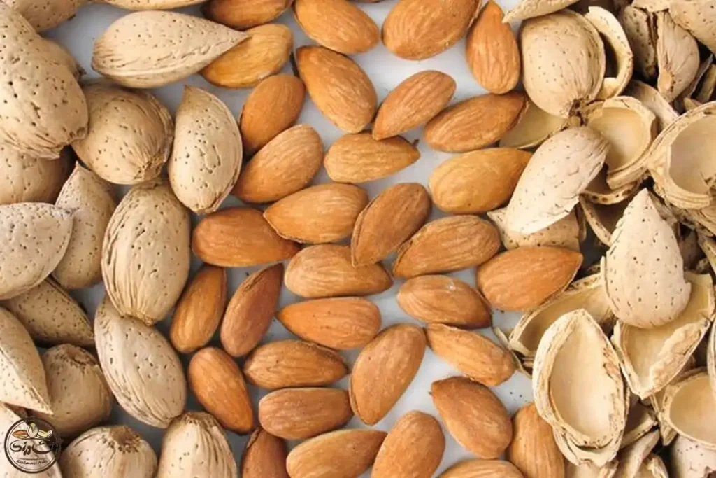 برای افت اسید معده چه بخوریم؟ | ۲۶ خوراکی برای افت اسید معده_رنگو 33 برای افت اسید معده چه بخوریم؟ ۲۶ خوراکی برای.webp