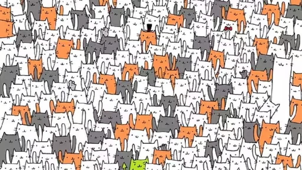 ۱۱ بازی فکری برای تحکیم حافظه مختصر مدت_رنگو 35 بازی پیدا کردن چیزها