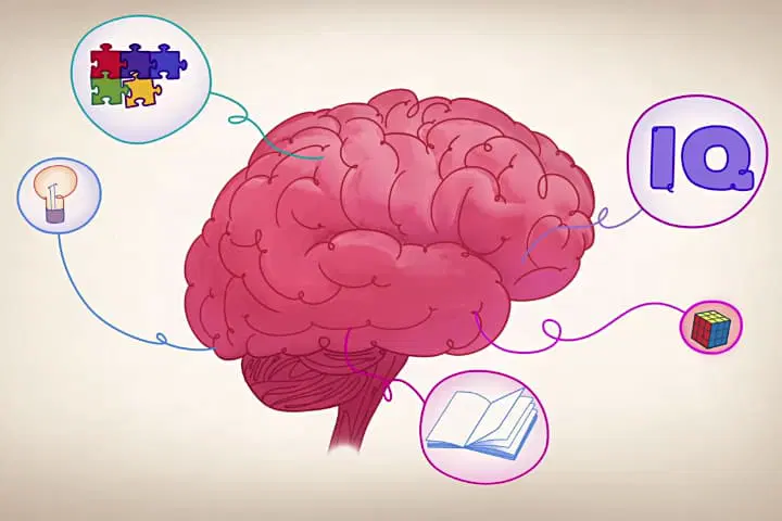 در چه سنی باهوشتر هستیم؟ جواب متفاوت علم به یک سوال قدیمی_رنگو 2 1755008462 702 در چه سنی باهوشتر هستیم؟ جواب متفاوت علم به یک.webp