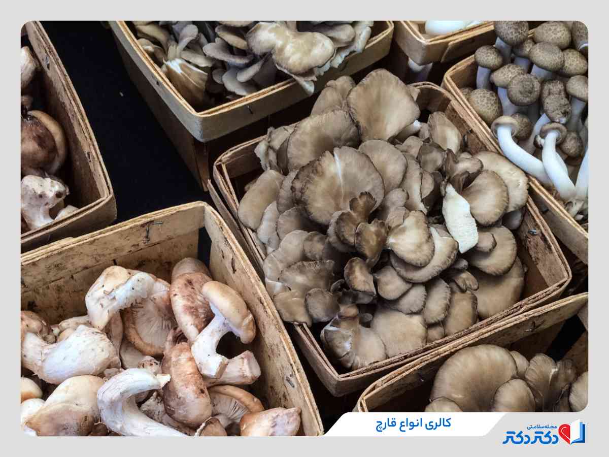 قیمت غذایی قارچ_رنگو 10 کالری و ارزش غذایی تنواع قارچ