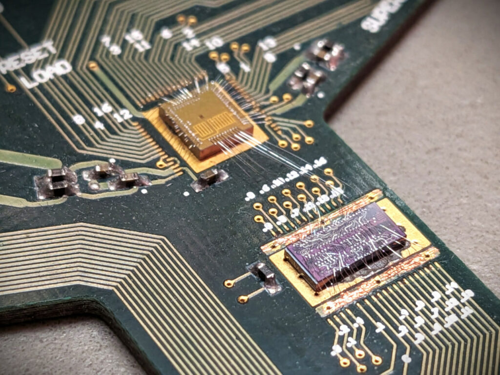 رایانه زنده؛ دانشمندان می‌خواهند باکتری‌ها را به پردازنده دیجیتال تبدیل کنند