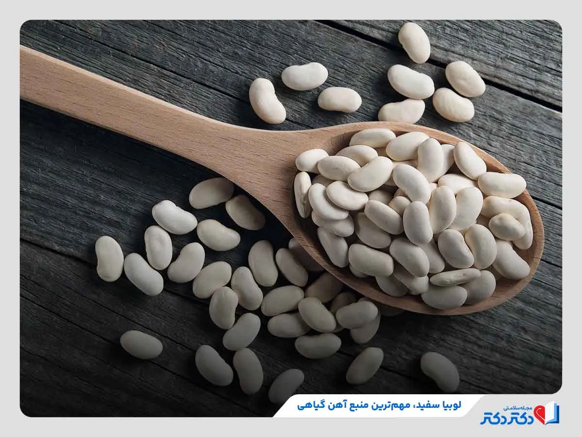 مواد غذایی آهن دار | 37 نوع از غذاهای حاوی آهن_رنگو 32 لوبیا سفید بهترین منبع آهن برای گیاهخواران