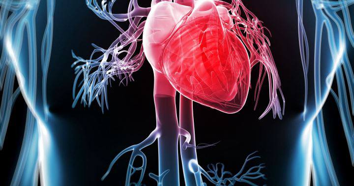 شیرین گفتن برای چی خوبه: ۲۷تا از خواص شیرین بیان_رنگو 24 خواص شیرین بیان - کمک به افزایش سلامت قلب و عروق